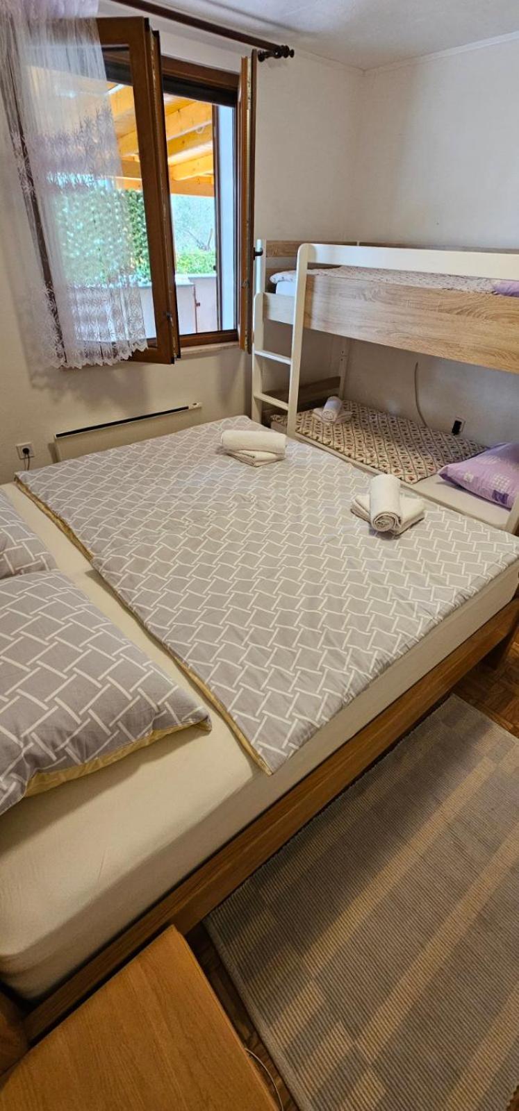 Apartman Sija Novigrad Novigrad  Exterior photo